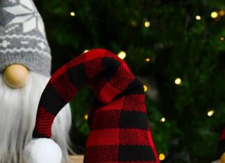 DIY Christmas Gnomes: Festive Handmade Decorations Christmas gnome with red plaid hat in front of gnome with grey snowflake hat