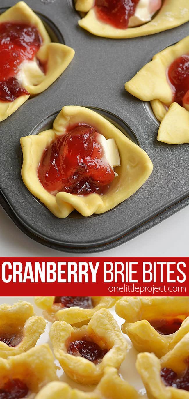 These cranberry brie bites taste SO GOOD and you only need 3 ingredients to make them! This is such an easy appetizer recipe and a great way to use leftover cranberry sauce! In less than 30 minutes you can make a delicious holiday appetizer - who can resist gooey, melty cheese!? They're perfect for Christmas parties, Thanksgiving, or any time of the year! 