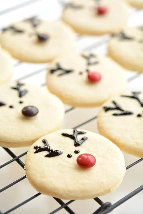 These reindeer sugar cookies are really easy to make and they look ADORABLE! The cookie recipe is so good! Perfectly even cookies, with no chilling required!