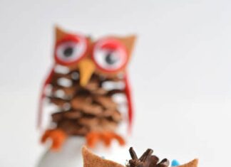 DIY Pinecone Owls: How to Make Cute Woodland Crafts These pinecone owls are SO FUN and they're so easy to make! Best of all, you can get all the supplies at the dollar store! If you add a string, they make great Christmas ornaments! Such a great 5 minute craft idea!