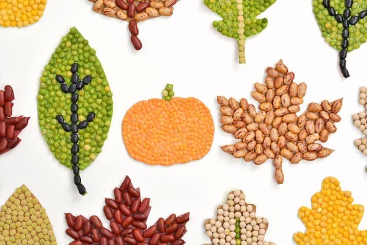 Mosaic leaves and pumpkin made from dried beans