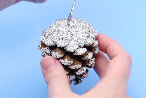Frosted Pinecones