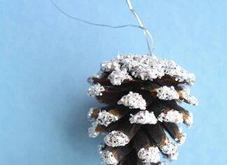 How to Make Frosted Pinecones Snow frosted pinecones on a blue background