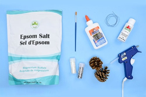 Frosted Pinecones Supplies