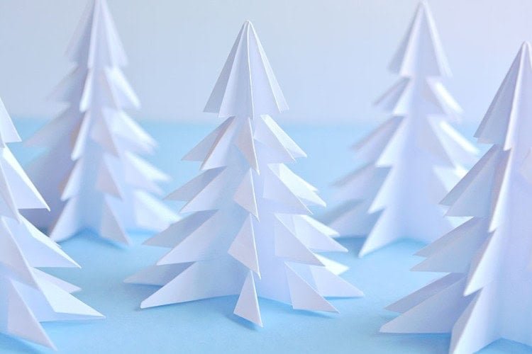 Forest of paper trees