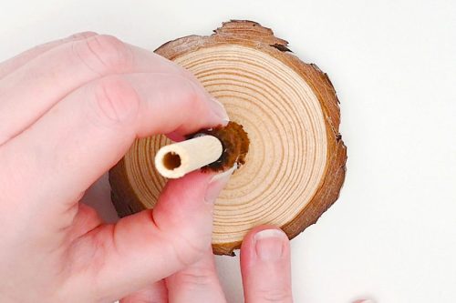 pipe-cleaner-christmas-tree-25-500x333-1 Pipe Cleaner Christmas Tree