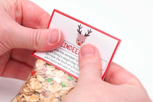 Reindeer Food