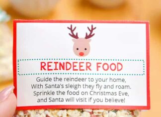 How to Make Reindeer Food Closeup on a package of reindeer food