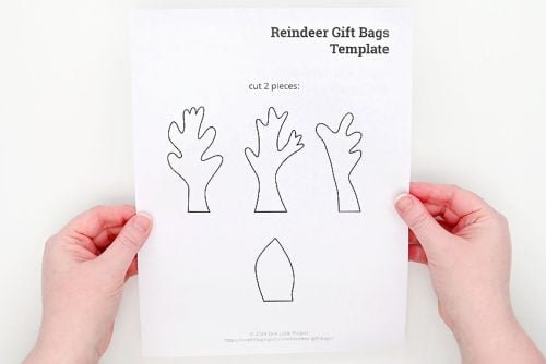 Reindeer Gift Bags