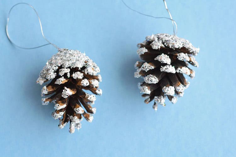 Snowy Pinecones