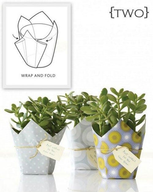 19 Christmas Wrapping Paper Crafts - Wrapped Potted Plants and Flowers Gift Ideas